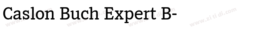 Caslon Buch Expert B字体转换 Caslon Buch Expert B字体转换